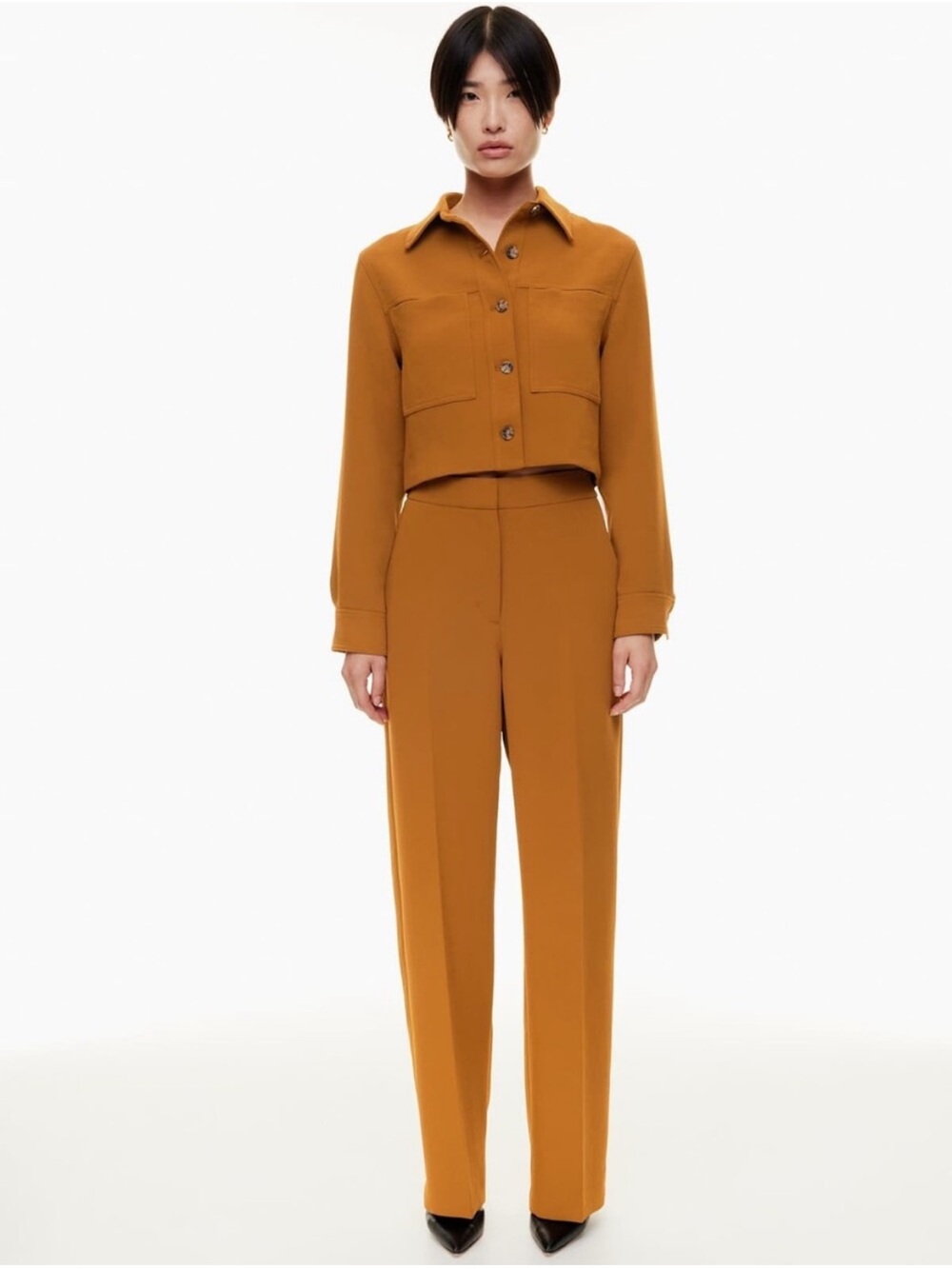 Aritzia Wilfred Alanya Pant